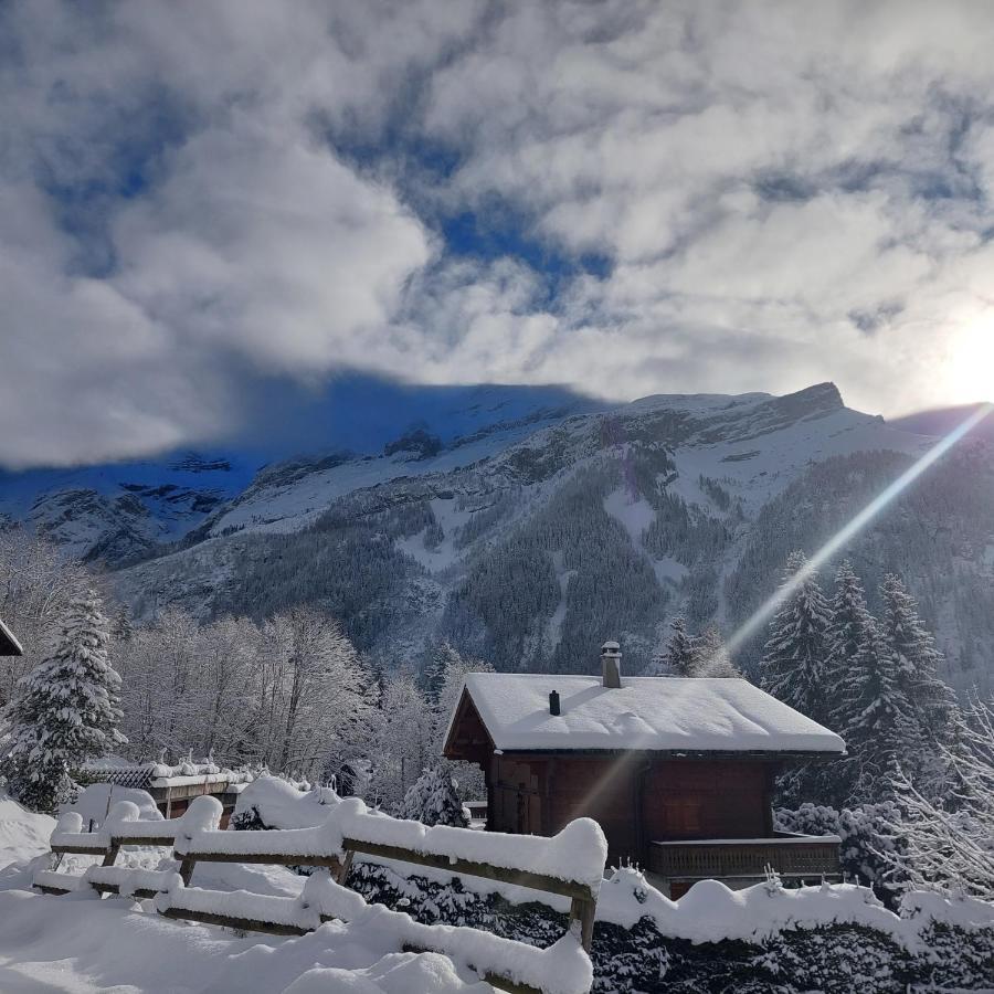 Chambre D'Hotes L'Ours Bleu Les Diablerets Ngoại thất bức ảnh