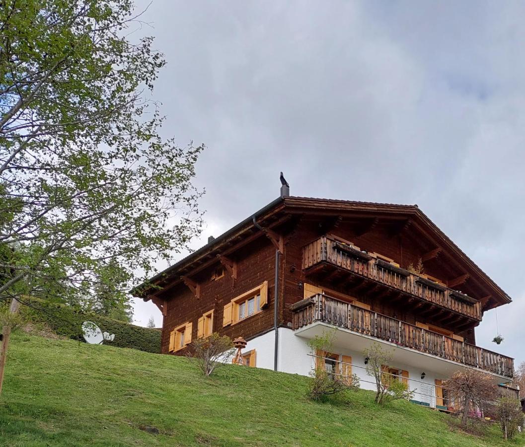 Chambre D'Hotes L'Ours Bleu Les Diablerets Ngoại thất bức ảnh